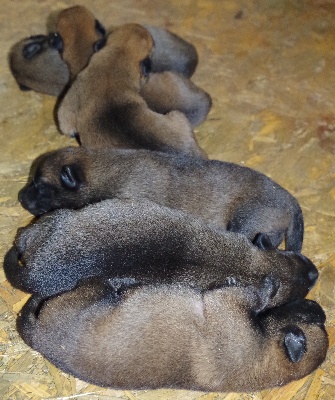 Des Plaines De Garonne - Bébés au Plaine de Garonne