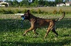  - Bébés aux Plaines de Garonne 