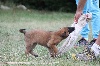  -  Bébés aux Plaines de Garonne 