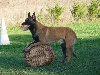  - Bébés aux Plaines de Garonne