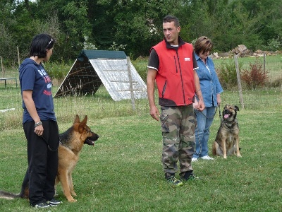 Des Plaines De Garonne - Centre Canin 82