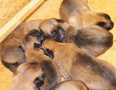 Des Plaines De Garonne - Bébés aux Plaines de Garonne