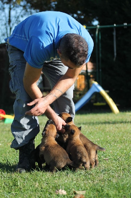 Des Bébés aux Plaines de Garonne