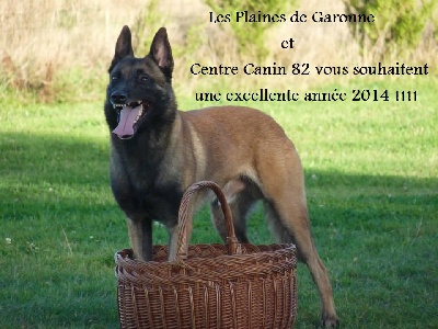 Des Plaines De Garonne - Une Excellente Année 2014