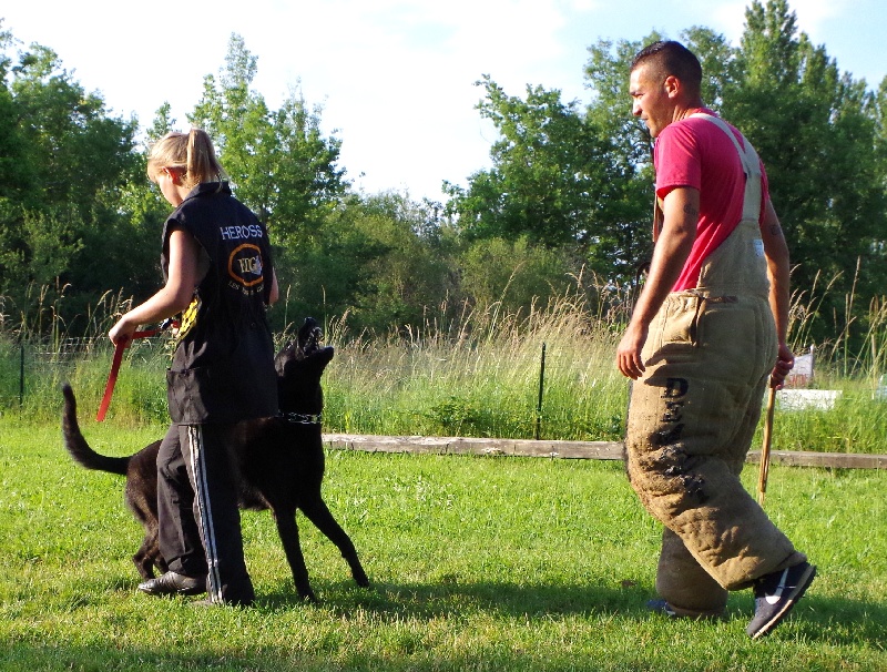 Dressage des chiens au Centre Canin 82